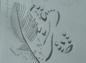 dessin préparatoire linogravure empreintes