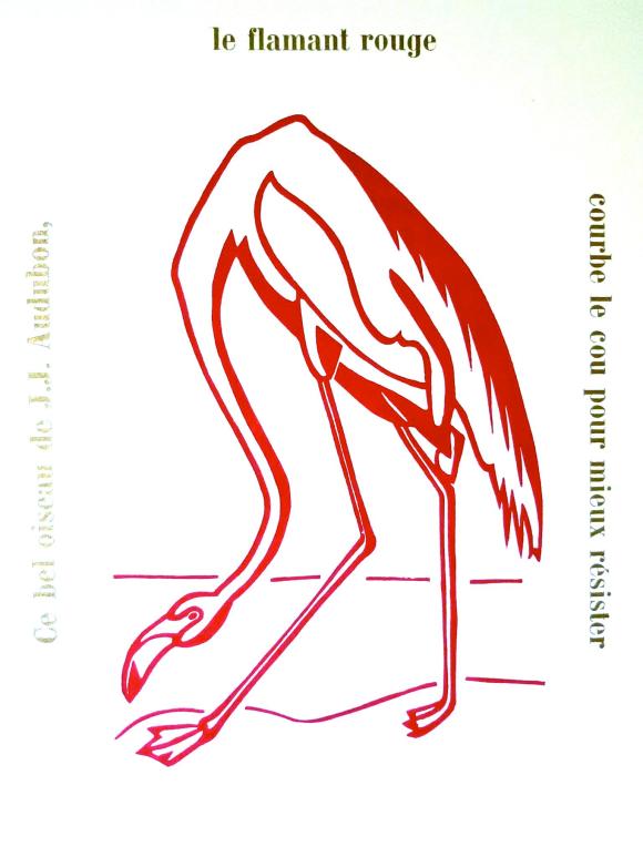 le flamant rouge