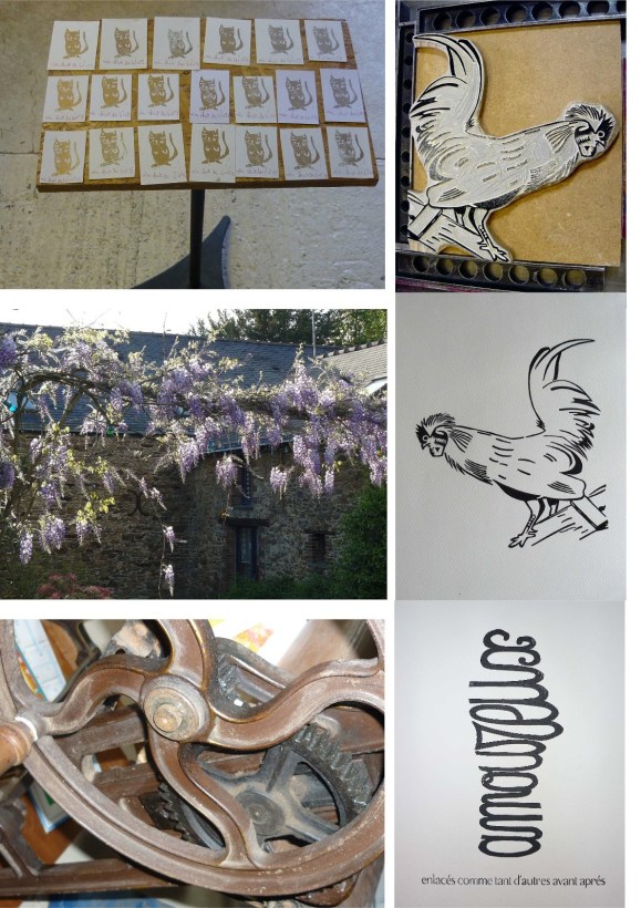 coq chats & amoureux