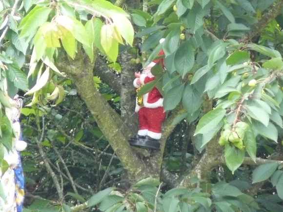 le père noel de juin