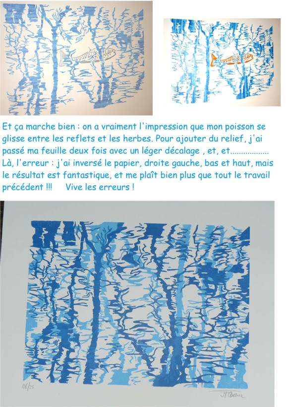 les reflets emmêlés