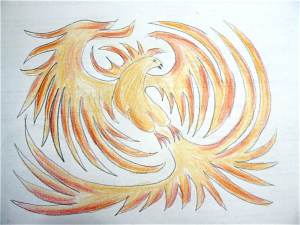 phoenix droite