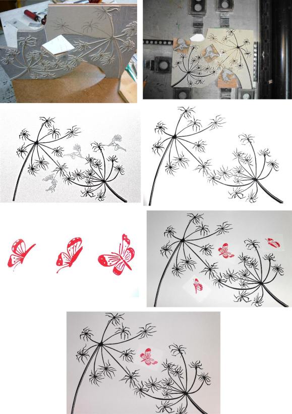 les berces et les papillons