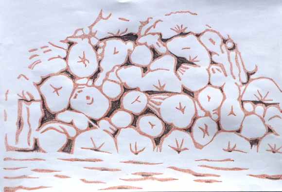 tas de bois projet 3ème couleur