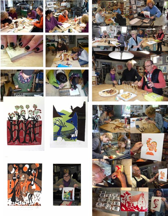 stages-a-la-bergerie